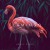 Buy Flamingo - Heavy Steps (EP) Mp3 Download