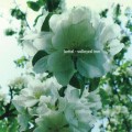 Buy Kettel - Volleyed Iron Mp3 Download