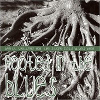Purchase Brett Wellman & The Stone Cold Blues Band - Rooted In The Blues