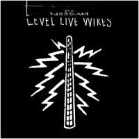 Purchase Odd Nosdam - Level Live Wires