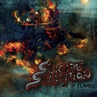 Purchase Suicide Salvation - Down In Flames