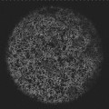 Buy Wayfarer - You Are A World Mp3 Download