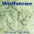 Buy Wolfstone - Year Of The Dog Mp3 Download