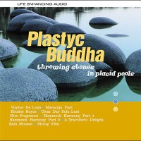 Purchase Plastyc Buddha - Throwing Stones In Placid Pools