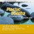 Buy Plastyc Buddha - Throwing Stones In Placid Pools Mp3 Download
