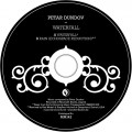 Buy Petar Dundov - Waterfall (CDS) Mp3 Download