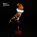 Buy VA - Fabric 77: Marcel Dettmann Mp3 Download