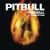 Buy Pitbull - Fireball (CDS) Mp3 Download