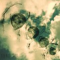 Buy Annie Eve - Feversome (EP) Mp3 Download