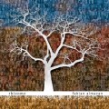 Buy Fabian Almazan - Rhizome Mp3 Download
