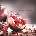 Buy VA - Tender Moments Vol. 1 Mp3 Download