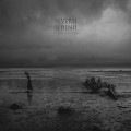 Buy Treha Sektori - Severh Sehenh Mp3 Download