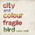 Buy City And Colour - Fragile Bird (Radio Edit) (CDS) Mp3 Download