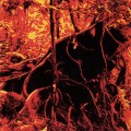 Buy Bondage Fruit - II Mp3 Download