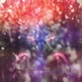 Buy Maybeshewill - Fair Youth Mp3 Download