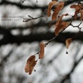 Buy The Echelon Effect - Seasons Part 3 Mp3 Download