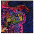 Buy Yellow Swans - Bring The Neon War Home Mp3 Download