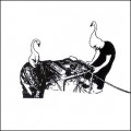 Buy Yellow Swans - Dreamed Yellow Swans Mp3 Download