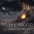 Buy Trippy Wicked & The Cosmic Children Of The Knight - Underground (EP) Mp3 Download