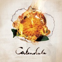 Purchase A Crowd Of Rebellion - Calendula