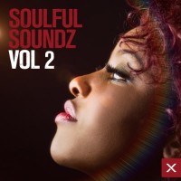 Purchase VA - Soulful Soundz Vol. 2