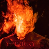 Purchase Tricky - Adrian Thaws