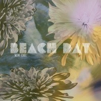 Purchase Beach Day - Native Echoes