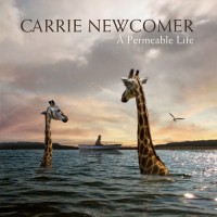 Purchase Carrie Newcomer - A Permeable Life
