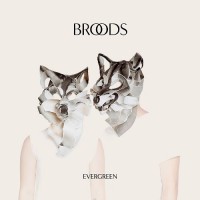 Purchase Broods - Evergreen