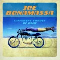 Buy Joe Bonamassa - Different Shades Of Blue Mp3 Download