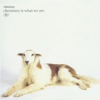 Purchase Simian - Chemistry Is What We Are