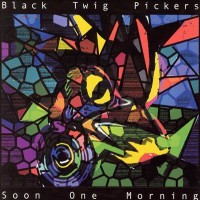 Purchase The Black Twig Pickers - Soon One Morning