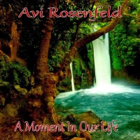 Purchase Avi Rosenfeld - A Moment In Our Life