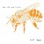 Buy The Life And Times - Lost Bees Mp3 Download