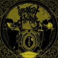 Buy Amongst The Thorns - The Rebirthing Mp3 Download
