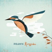 Purchase Prawn - Kingfisher