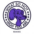 Buy What So Not - High You Are Remixes Mp3 Download
