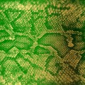 Buy Zackey Force Funk - Money Green Viper Mp3 Download
