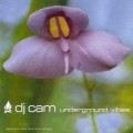 Buy DJ Cam - Underground Vibes Mp3 Download