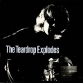 Buy Teardrop Explodes - You Disappear From View (Vinyl) Mp3 Download