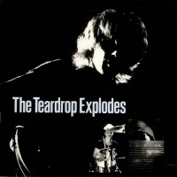 Purchase Teardrop Explodes - You Disappear From View (Vinyl)