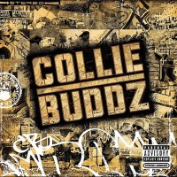 Purchase Collie Buddz - Come Around