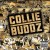Buy Collie Buddz - Come Around Mp3 Download