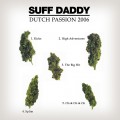 Buy Suff Daddy - Dutch Passion Mp3 Download