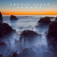 Purchase Arctic Sleep - Arbors