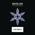Buy Steve Angello - Wasted Love (CDS) Mp3 Download