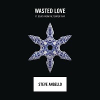 Purchase Steve Angello - Wasted Love (CDS)