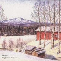 Purchase Skogen - Ist Gefallen In Den Schnee (CDS)