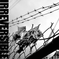 Purchase Irreversible - Ashes (EP)