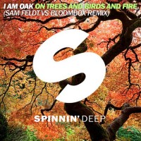 Purchase I Am Oak - On Trees And Birds And Fire: Sam Feldt & Bloombox Remix (CDS)